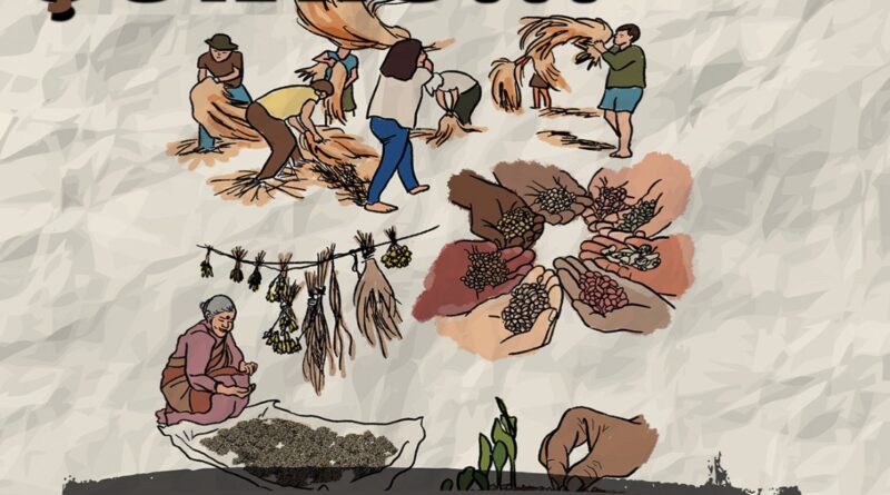 Gıda egemenliği köylülerin tohumlarını üretme saklama ve birbiriyle değiştirme hakkını tanır