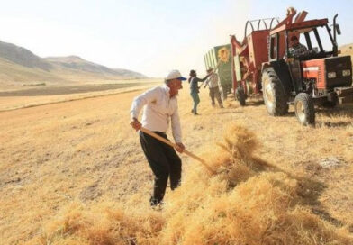 Çiftçi-Sen :”Çiftçilerin Günü 14 Mayıs değil, 17 Nisan’dır”