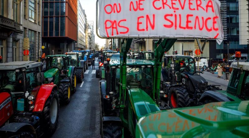 ECVC Brüksel’deki Luxembourg meydanından şunları talep ediyor: Serbest ticaret anlaşmalarına son verin ve köylüler için adil fiyatları sağlayın